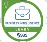 SAS Visual Analytics
